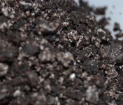 Oreo