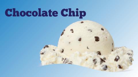 Chocolate Chip