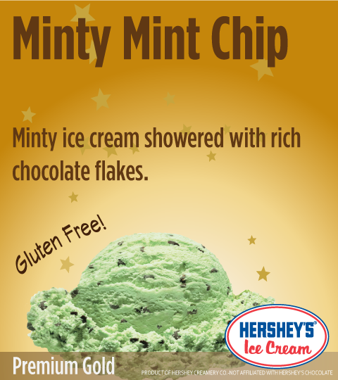 Minty Mint Chip