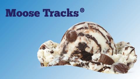 Moose Tracks