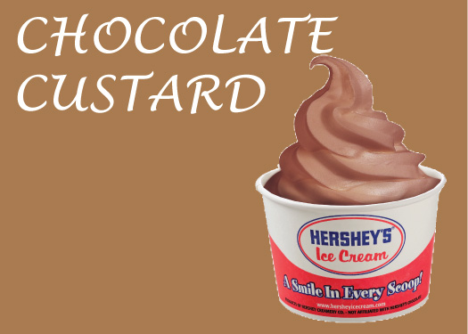 Hersheys Chocolate Custard