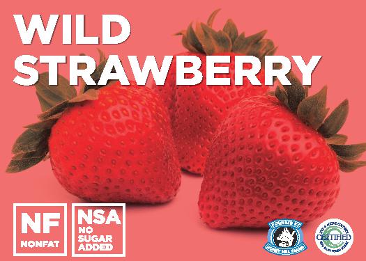 Wild Strawberry (No Sugar Added)